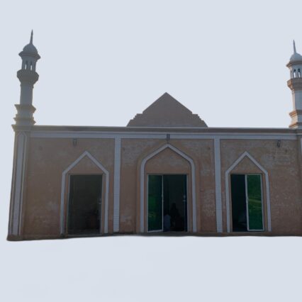 Building Medium Mosque in Pakistan